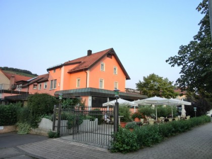 Foto: Rebstock